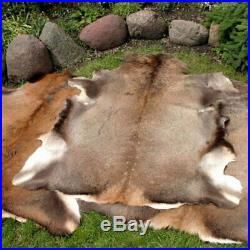 Large Red Deer (Cervus Elaphus) Stag Skin Rug Hide Fur Pelt Taxidermy Home Floor