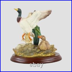 Lifting Off Border Fine Arts Ducks