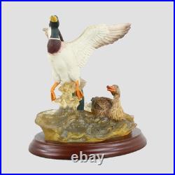 Lifting Off Border Fine Arts Ducks
