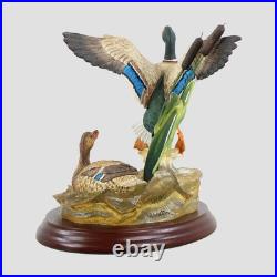 Lifting Off Border Fine Arts Ducks