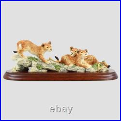 Lion Cubs Border Fine Arts