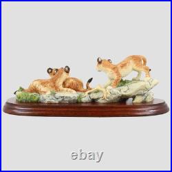 Lion Cubs Border Fine Arts