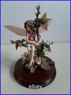 Lovely 1990s Border Fine Arts Flower Fairy Wild Cherry Fairy CF25 1994 with COA