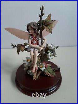 Lovely 1990s Border Fine Arts Flower Fairy Wild Cherry Fairy CF25 1994 with COA