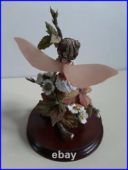 Lovely 1990s Border Fine Arts Flower Fairy Wild Cherry Fairy CF25 1994 with COA