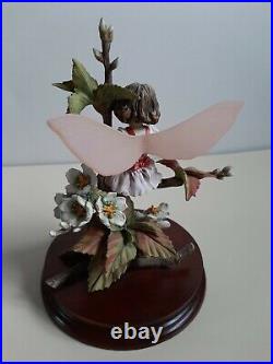 Lovely 1990s Border Fine Arts Flower Fairy Wild Cherry Fairy CF25 1994 with COA