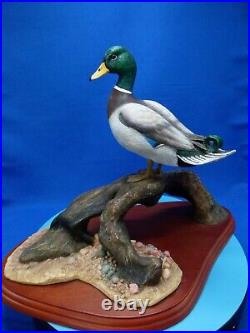 Mallard duck, AO477, water fowl of the world, made in 2000, by don briddell