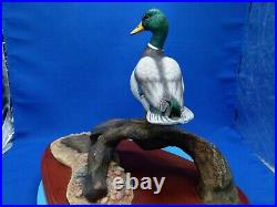 Mallard duck, AO477, water fowl of the world, made in 2000, by don briddell