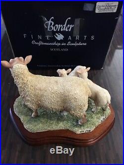 New Border Fine Arts Charollais Ewe and Lambs sheep limited ed. L121