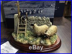 New Border Fine Arts Element Of Surprise Collie sheep B0089