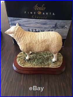New Border Fine Arts Large Texel Ewe Ram sheep limited ed. B0530