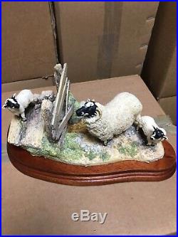 New Border Fine Arts Wrong side of the Fence sheep limited ed. JH100