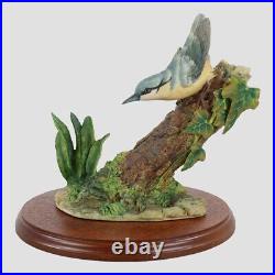 Nuthatch Style One Border Fine Arts Birds