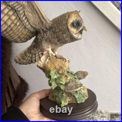 Owl Border fine artsOrnament Figurine on standRay Ayres