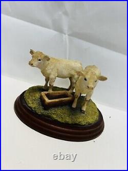 PAIR OF CHAROLAIS CALVES B0272 Border Fine Arts Chipped (17)