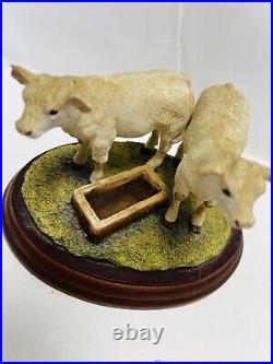 PAIR OF CHAROLAIS CALVES B0272 Border Fine Arts Chipped (17)