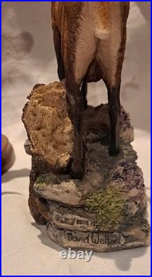 Pair of Border Fine Arts Red Stags