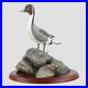 Pintail-Border-Fine-Arts-Birds-01-ktsp