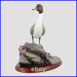 Pintail Border Fine Arts Birds