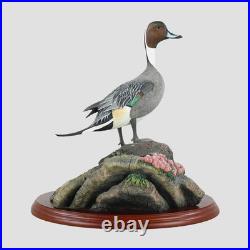 Pintail Border Fine Arts Birds