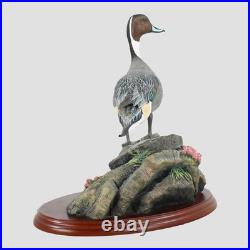 Pintail Border Fine Arts Birds