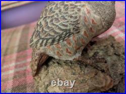 RARE Border Fine Arts Partridge Figure Anne Wall 78 Ornament Game Bird