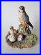 Rare-BORDER-FINE-ARTS-Merlin-Falcon-Chicks-1992-Bird-Prey-Figurine-EXCELLENT-01-jrg