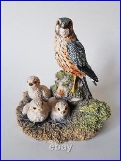 Rare BORDER FINE ARTS Merlin Falcon & Chicks 1992 Bird Prey Figurine EXCELLENT