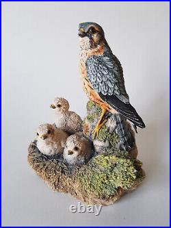 Rare BORDER FINE ARTS Merlin Falcon & Chicks 1992 Bird Prey Figurine EXCELLENT