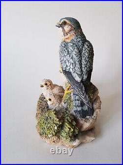 Rare BORDER FINE ARTS Merlin Falcon & Chicks 1992 Bird Prey Figurine EXCELLENT