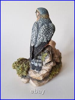 Rare BORDER FINE ARTS Merlin Falcon & Chicks 1992 Bird Prey Figurine EXCELLENT