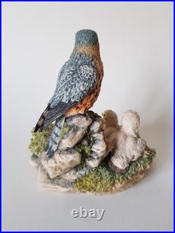 Rare BORDER FINE ARTS Merlin Falcon & Chicks 1992 Bird Prey Figurine EXCELLENT