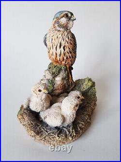 Rare BORDER FINE ARTS Merlin Falcon & Chicks 1992 Bird Prey Figurine EXCELLENT