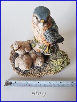 Rare BORDER FINE ARTS Merlin Falcon & Chicks 1992 Bird Prey Figurine EXCELLENT