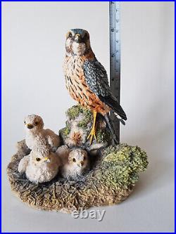 Rare BORDER FINE ARTS Merlin Falcon & Chicks 1992 Bird Prey Figurine EXCELLENT