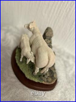 Rare Border Fine Arts A9631 Charolais Cow & Calf Vintage/ Excellent Condition