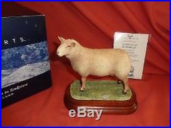 Rare Border Fine Arts BFA Charollais Ram Sheep B0774 Limited Ed Boxed Ayres