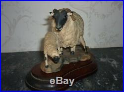 Rare Border Fine Arts Black Faced Ewe And Lambs Ltd Edition 301/750 Laing 1980