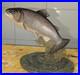 Rare-Border-Fine-Arts-D-Walton-Rainbow-Trout-Ornament-141-Handmade-In-Scotland-01-mi