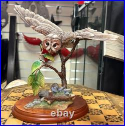 Rare Border Fine Arts Tawny Owl Birds by Russell Willis A4054 Unboxed SU74