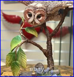 Rare Border Fine Arts Tawny Owl Birds by Russell Willis A4054 Unboxed SU74