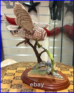 Rare Border Fine Arts Tawny Owl Birds by Russell Willis A4054 Unboxed SU74