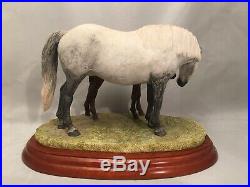Rare Horse Breeds A5055 Connemara Mare & Foal Border Fine Arts Statue Ornament