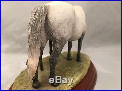 Rare Horse Breeds A5055 Connemara Mare & Foal Border Fine Arts Statue Ornament