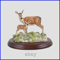 Red Hind And Calf Border Fine Arts