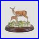 Red-Hind-And-Calf-Border-Fine-Arts-01-lxtj