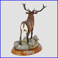 Red Stag Border Fine Arts