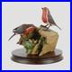 Robins-Nesting-Border-Fine-Arts-Birds-01-mcgo