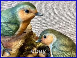 Robins Nesting Border Fine Arts Birds. 1988 No149/950. By R. T. Roberts. Rare