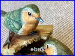 Robins Nesting Border Fine Arts Birds. 1988 No149/950. By R. T. Roberts. Rare
